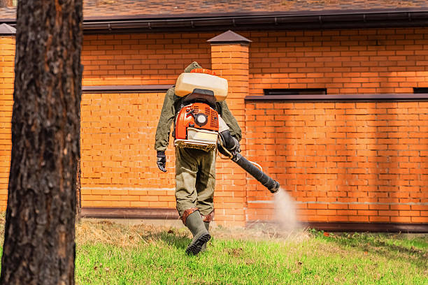 Bed Bug Clearance Verification and Documentation in Penryn
